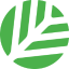 CNPY