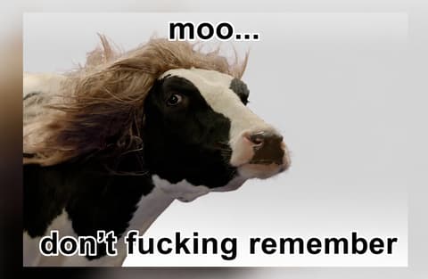 MOO