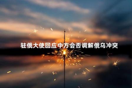 驻俄大使回应中方会否调解俄乌冲突