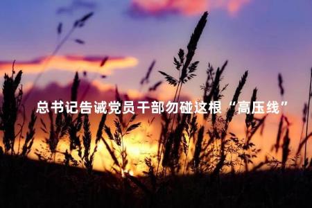 总书记告诫党员干部勿碰这根“高压线”