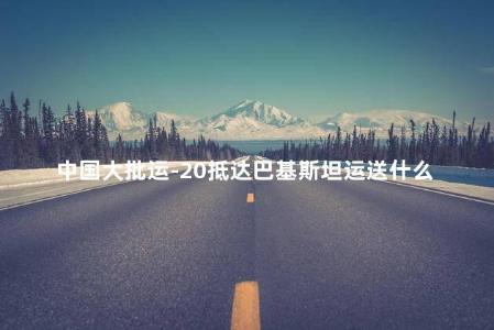 中国大批运-20抵达巴基斯坦运送什么