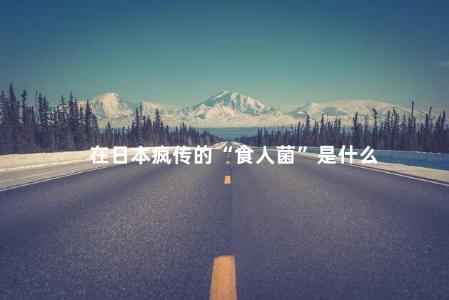 在日本疯传的“食人菌”是什么