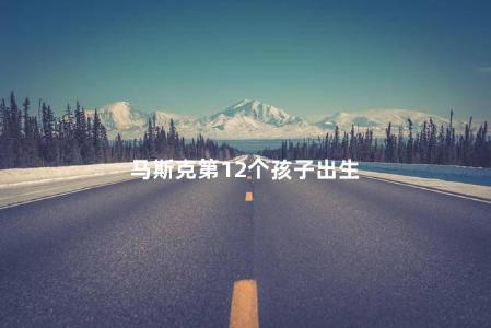 马斯克第12个孩子出生