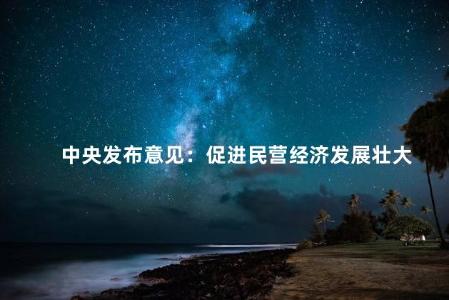中央发布意见：促进民营经济发展壮大