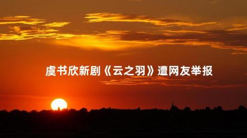 虞书欣新剧《云之羽》遭网友举报