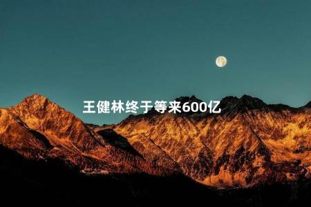王健林终于等来600亿