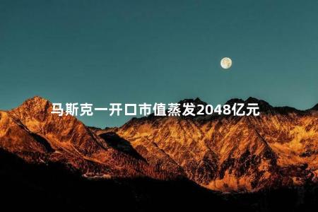 马斯克一开口市值蒸发2048亿元