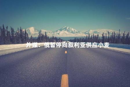 外媒：俄暂停向叙利亚供应小麦