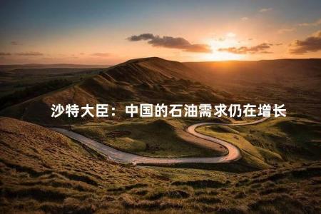 沙特大臣：中国的石油需求仍在增长