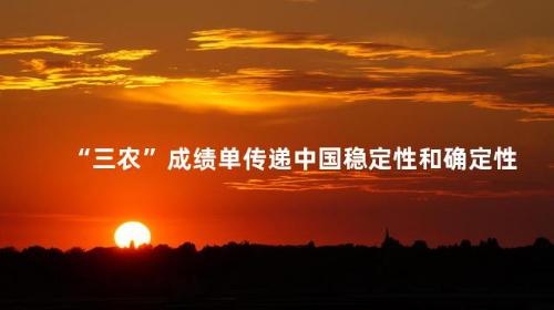 “三农”成绩单传递中国稳定性和确定性