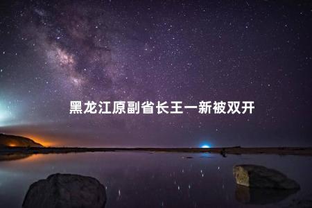 黑龙江原副省长王一新被双开