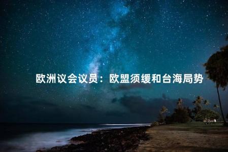 欧洲议会议员：欧盟须缓和台海局势