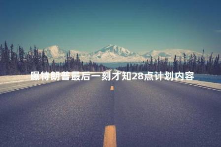 曝特朗普最后一刻才知28点计划内容