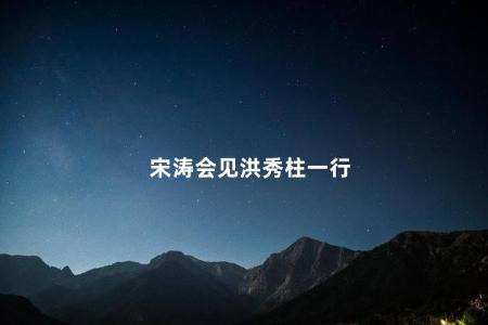 宋涛会见洪秀柱一行