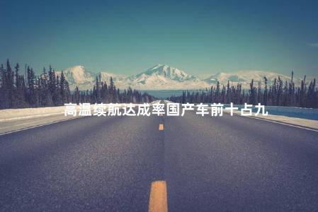 高温续航达成率国产车前十占九