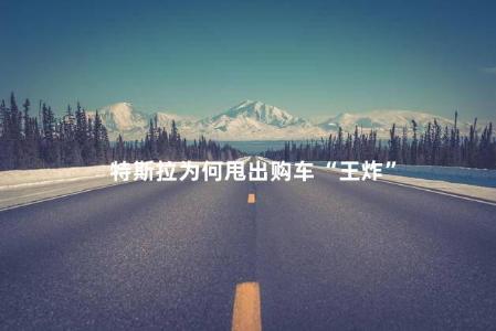 特斯拉为何甩出购车“王炸”