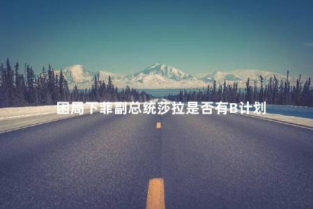 困局下菲副总统莎拉是否有B计划