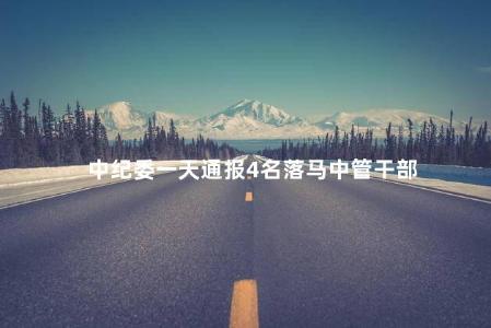 中纪委一天通报4名落马中管干部