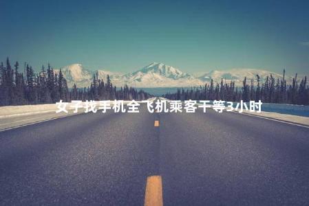 女子找手机全飞机乘客干等3小时