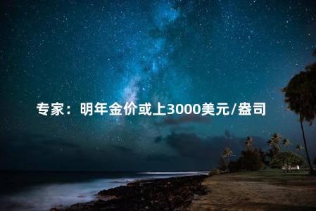 专家：明年金价或上3000美元/盎司