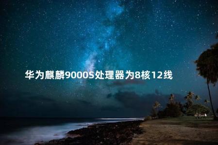 华为麒麟9000S处理器为8核12线程