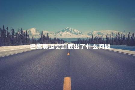 巴黎奥运会到底出了什么问题