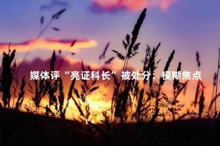 媒体评“亮证科长”被处分：模糊焦点