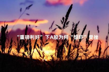 “重磅利好”下A股为何“惊吓”受挫
