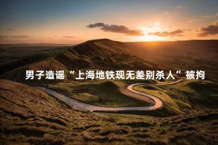 男子造谣“上海地铁现无差别杀人”被拘