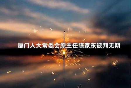 厦门人大常委会原主任陈家东被判无期