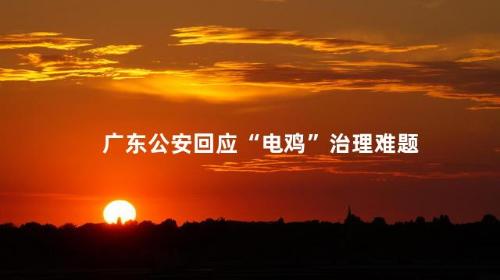 广东公安回应“电鸡”治理难题