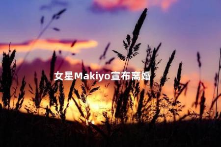 女星Makiyo宣布离婚