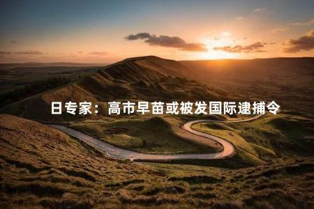 日专家：高市早苗或被发国际逮捕令