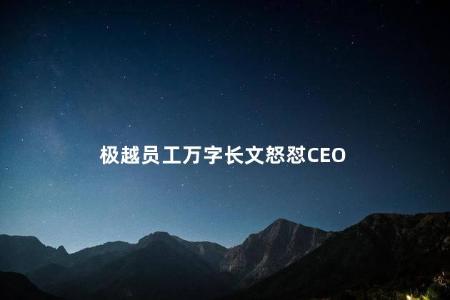 极越员工万字长文怒怼CEO
