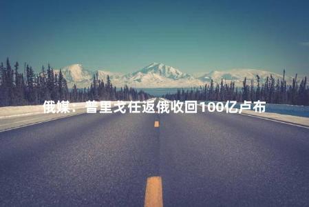 俄媒：普里戈任返俄收回100亿卢布