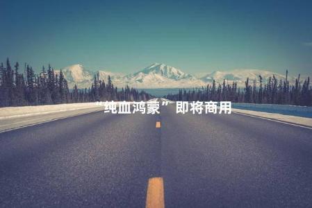 “纯血鸿蒙”即将商用