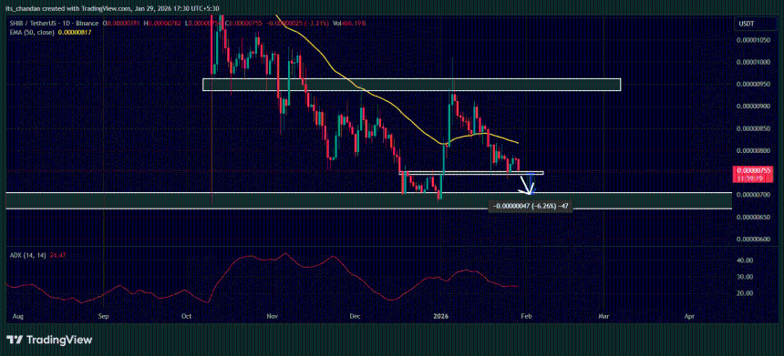 柴犬币（SHIB）价格走势