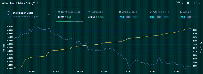 top 100 ZEC holders