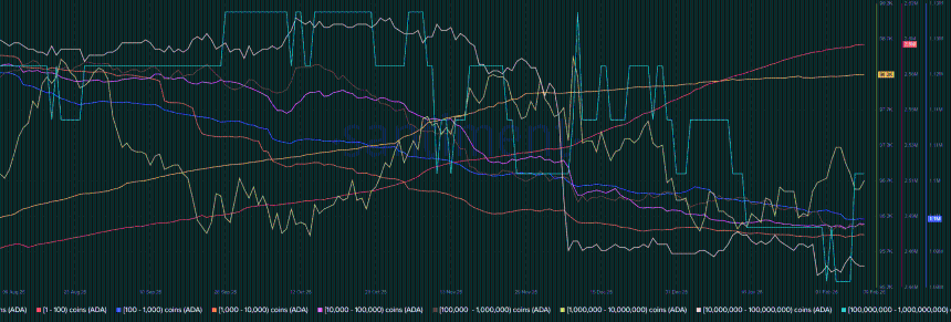Cardano Supply Distribution