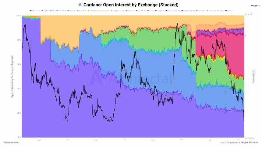 Cardano Open Interest Stacked