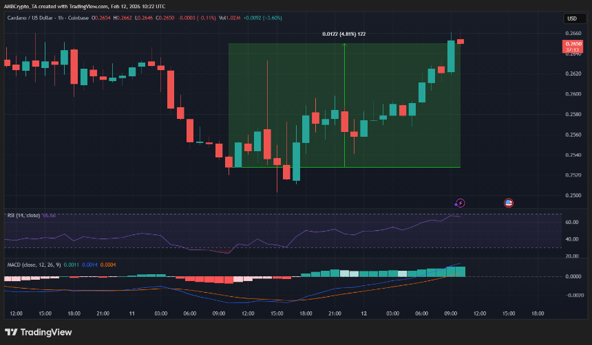 Cardano最新动态：Midnight主网上线日期、LayerZero合作及市场反应