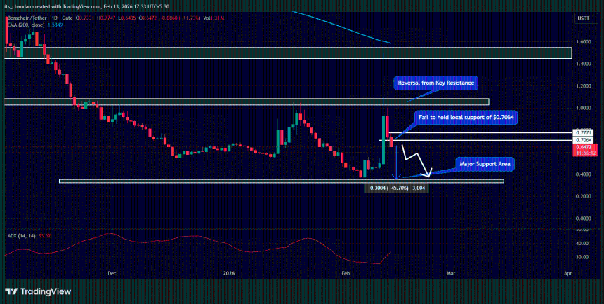 Beerachain (BERA) price action
