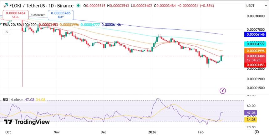 Floki relative strength index