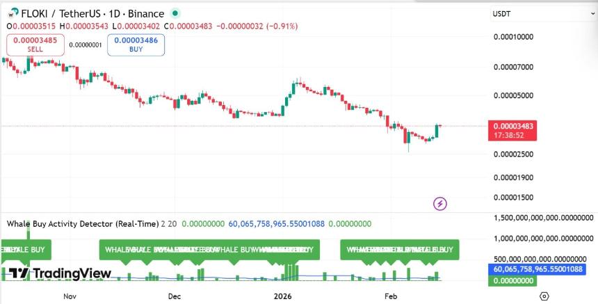 Floki whale buy activity
