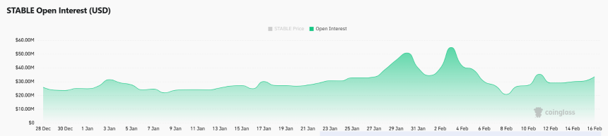 STABLE未平仓合约