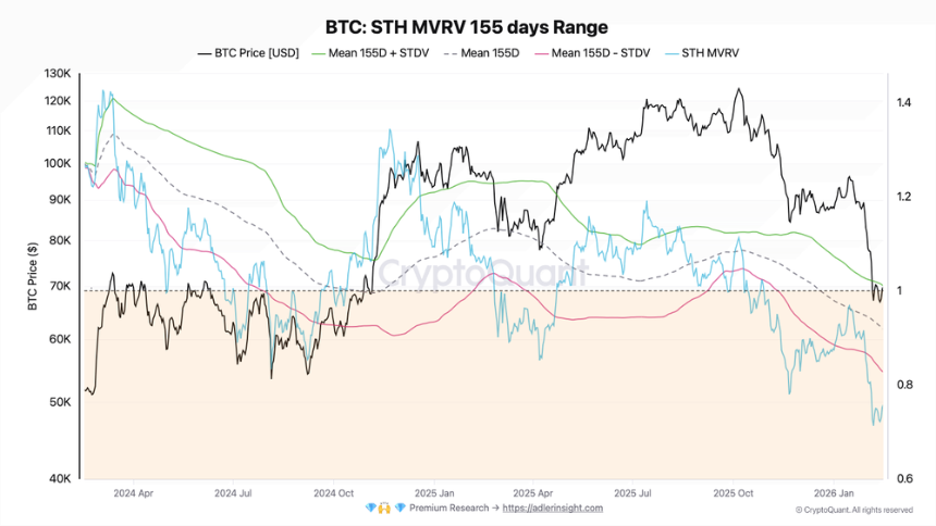 BTC STH MVRV