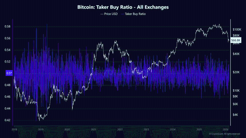 比特币价格分析：巨鲸能否在算力压力下稳定底部？