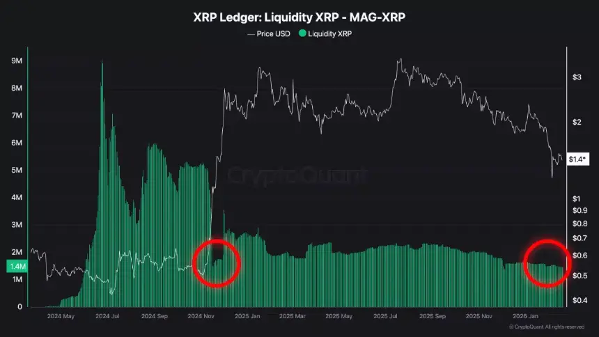 XRP Liquidity