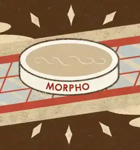 Morpho价格反弹:但这一阻力位可能限制其下一步走势