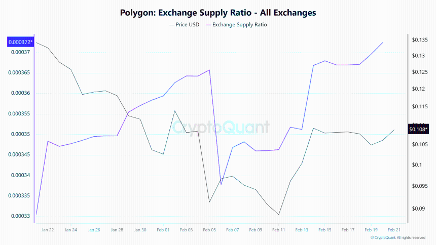 Polygon交易所供应比率